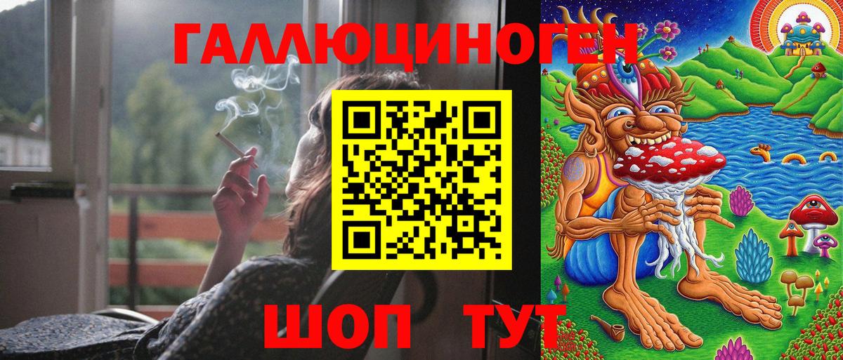 Псилоцибиновые грибы Psilocybe Гурьевск