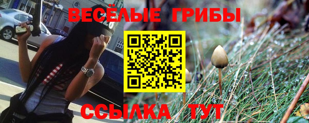 Гурьевск  Псилоцибиновые грибы прущие грибы  купить наркоту  Вход с VPN 