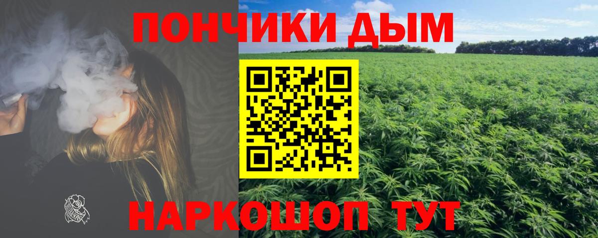 Гурьевск  МАРИХУАНА сатива  Вход с VPN  Марихуана марихуана 